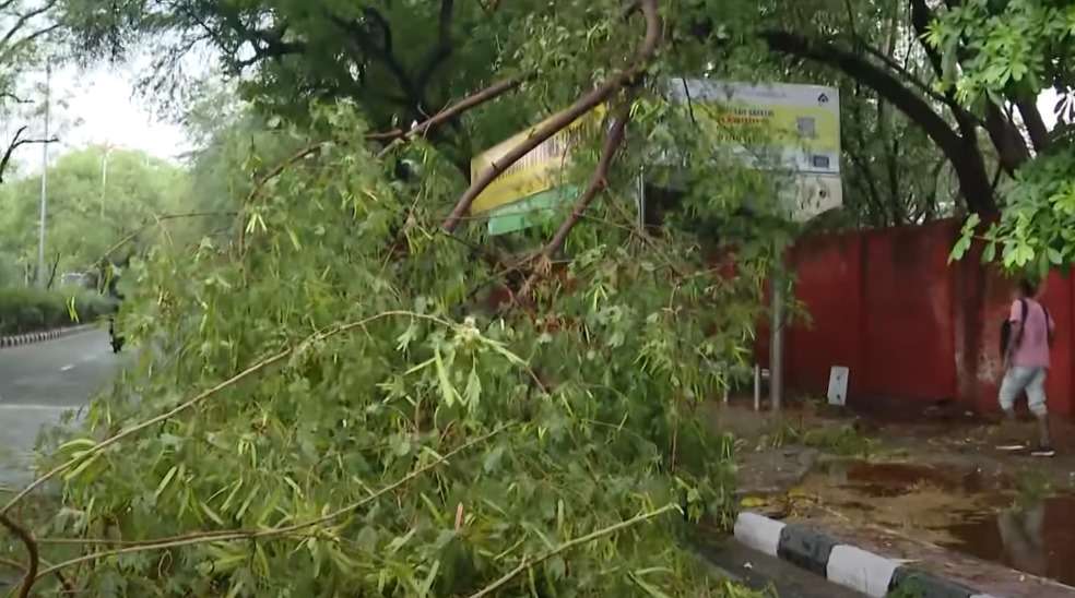 Delhi Rain